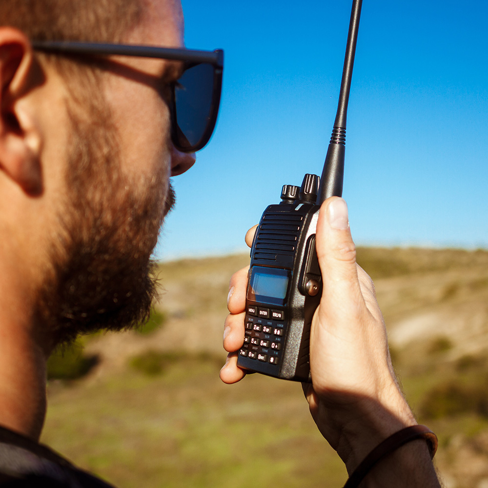 City skyline at night